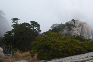 山间雾色松岩风光