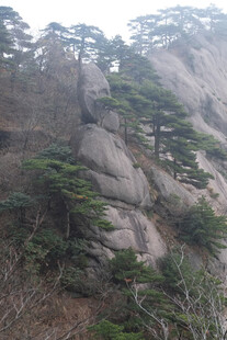 山间松石自然景观