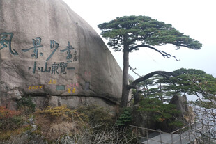 黄山迎客松胜景