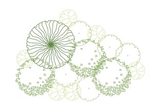 俯视绿植线描图
