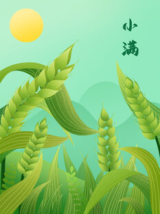 小满节气清新麦穗插画