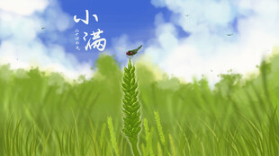 小满节气麦田插画