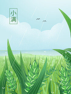 小满节气清新田野插画