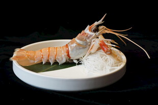 冰镇海鳌虾食材