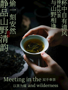 静品山野清韵双手奉茶喝茶海报