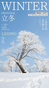 立冬雪景主题海报