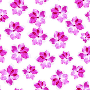花卉