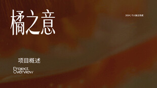 橘之意项目概述封面