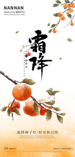 霜降节气柿子国风海报
