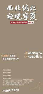 极境宁夏旅游宣传海报