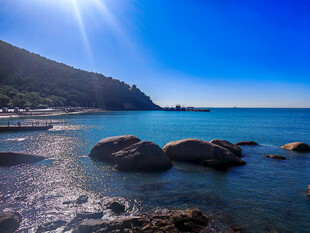 青岛海岸