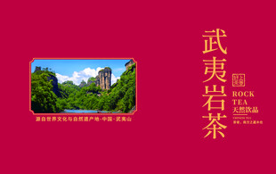 武夷岩茶包装设计