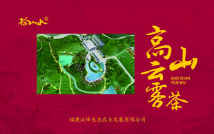 高山云雾茶宣传海报