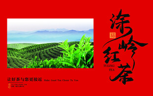 柒岭红茶宣传海报