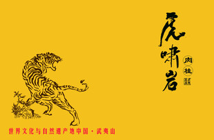 虎啸岩中式虎纹图案