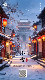小雪节气古街雪景