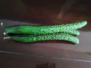 新鲜脆嫩青黄瓜