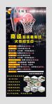 篮球 招生展架