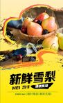 新鲜雪梨